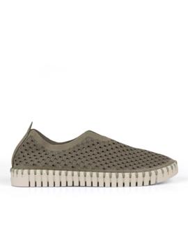 Zapatila Ilse Jacobsen tulip deep olive