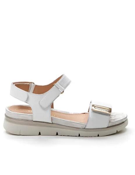 Sandalia stonefly 2025