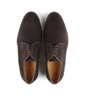 Zapato Berwick con cordones en ante marrón