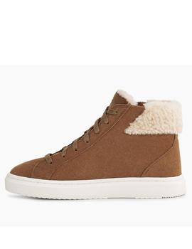 Deportiva UGG alameda mujer chesnut