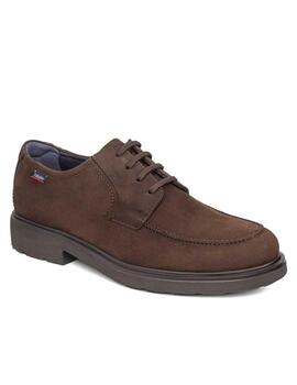 Zapato Callaghan 52800 marrón cordones hombre